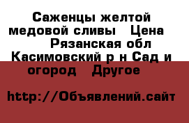  Саженцы желтой медовой сливы › Цена ­ 290 - Рязанская обл., Касимовский р-н Сад и огород » Другое   